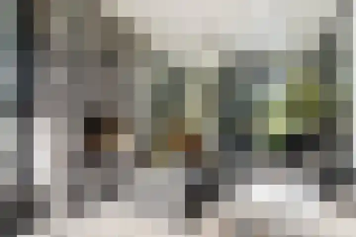 Hermelijn 25 Apeldoorn thumbnail 24