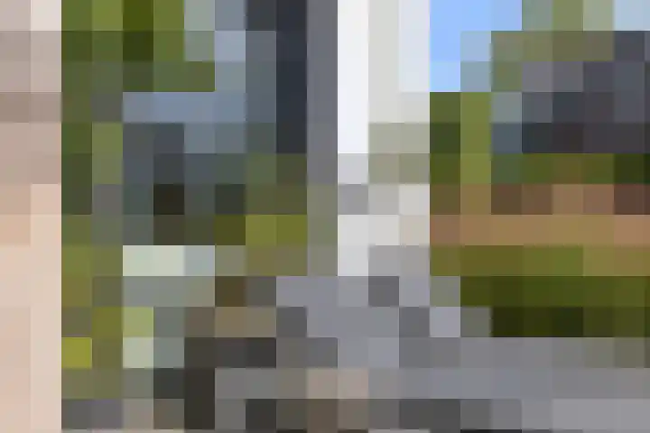 Hermelijn 25 Apeldoorn thumbnail 25