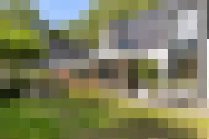 Hermelijn 25 Apeldoorn thumbnail 26