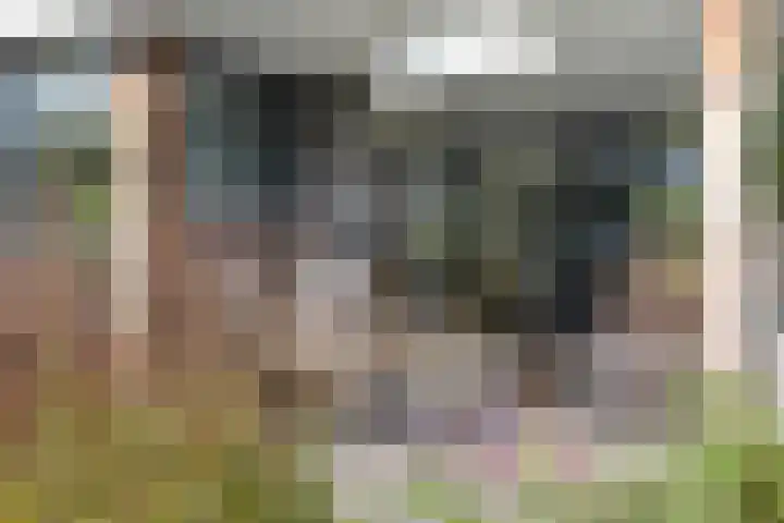 Hermelijn 25 Apeldoorn thumbnail 27