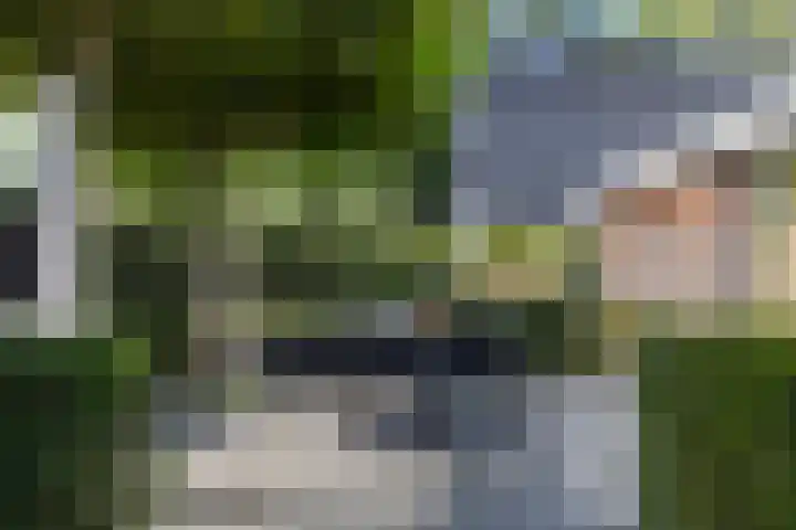 Hermelijn 25 Apeldoorn thumbnail 28