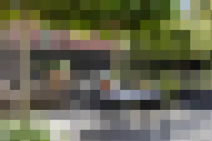 Hermelijn 25 Apeldoorn thumbnail 29