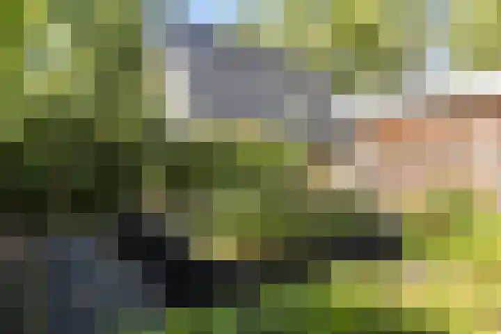 Hermelijn 25 Apeldoorn thumbnail 31