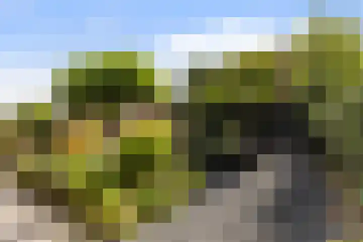 Hermelijn 25 Apeldoorn thumbnail 32