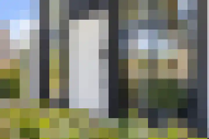 Hermelijn 25 Apeldoorn thumbnail 5