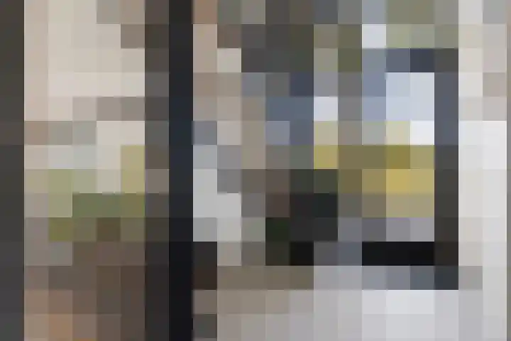 Hermelijn 25 Apeldoorn thumbnail 7