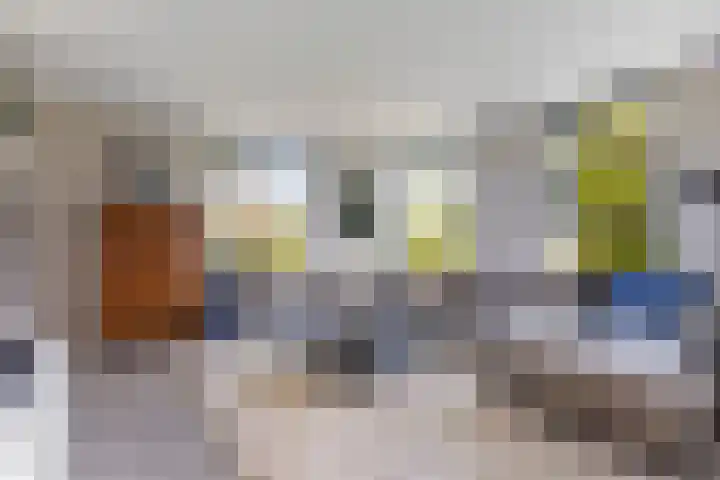 Hermelijn 25 Apeldoorn thumbnail 8