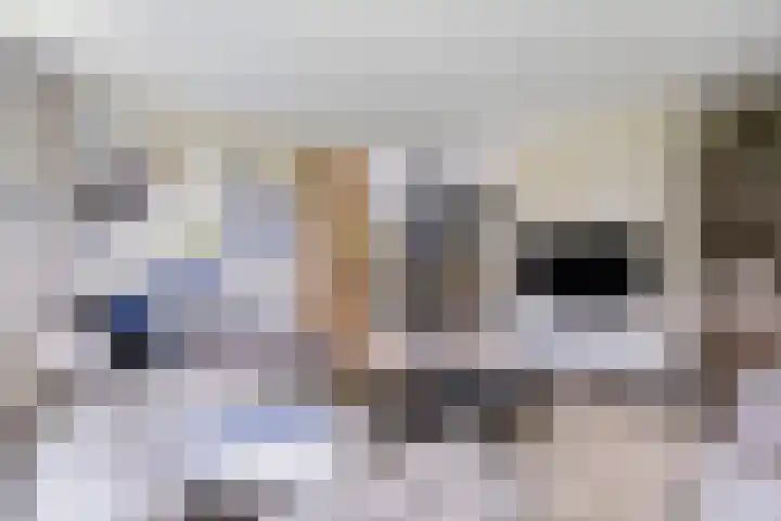 Hermelijn 25 Apeldoorn thumbnail 9