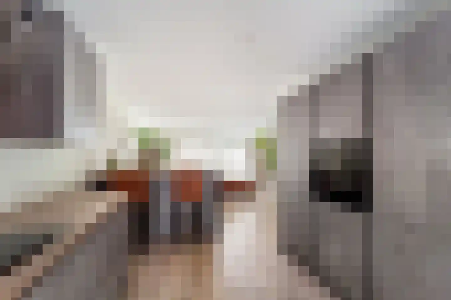 Hermelijn 27 's-Gravenzande thumbnail 11