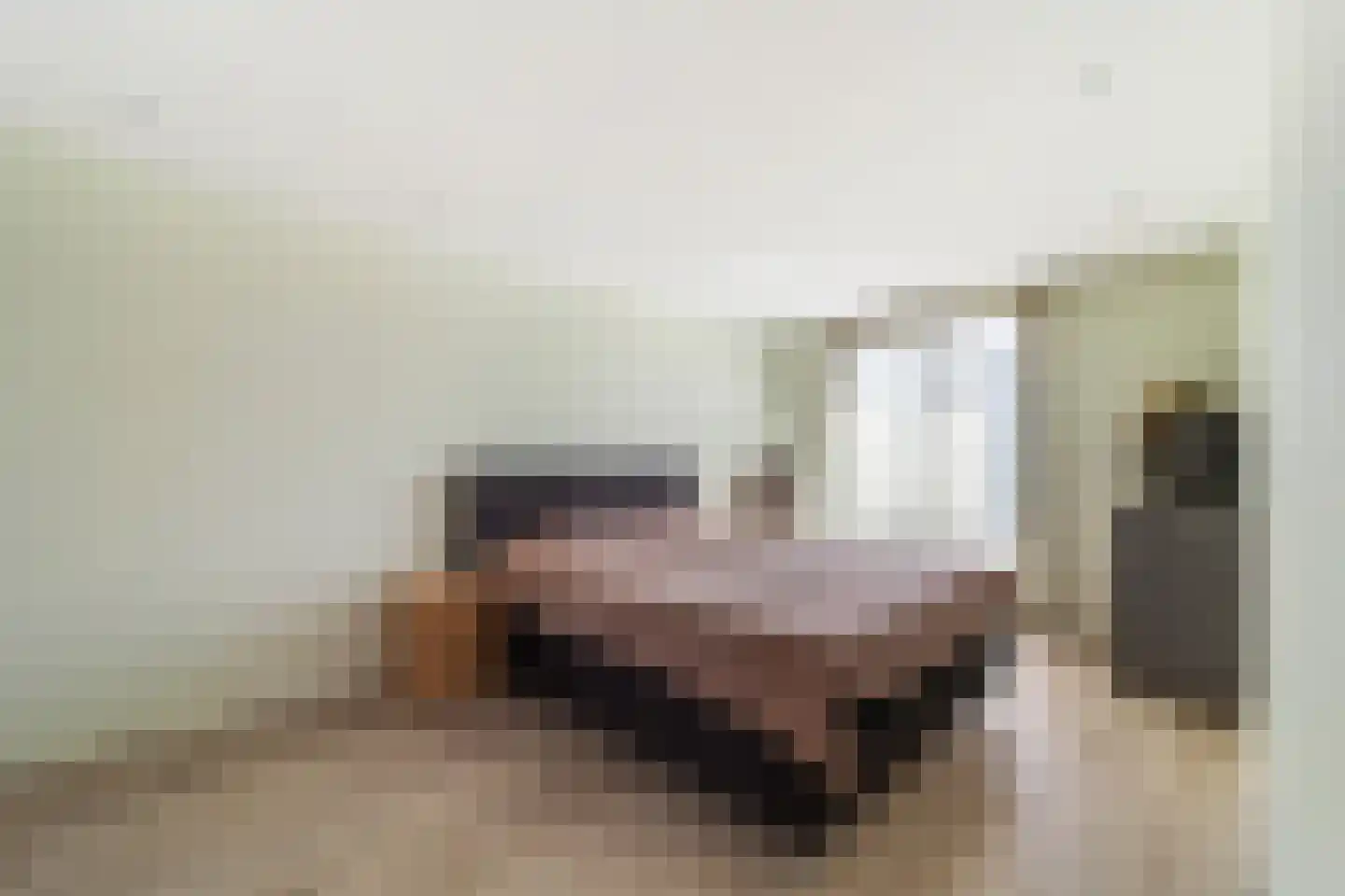 Hermelijn 27 's-Gravenzande thumbnail 17