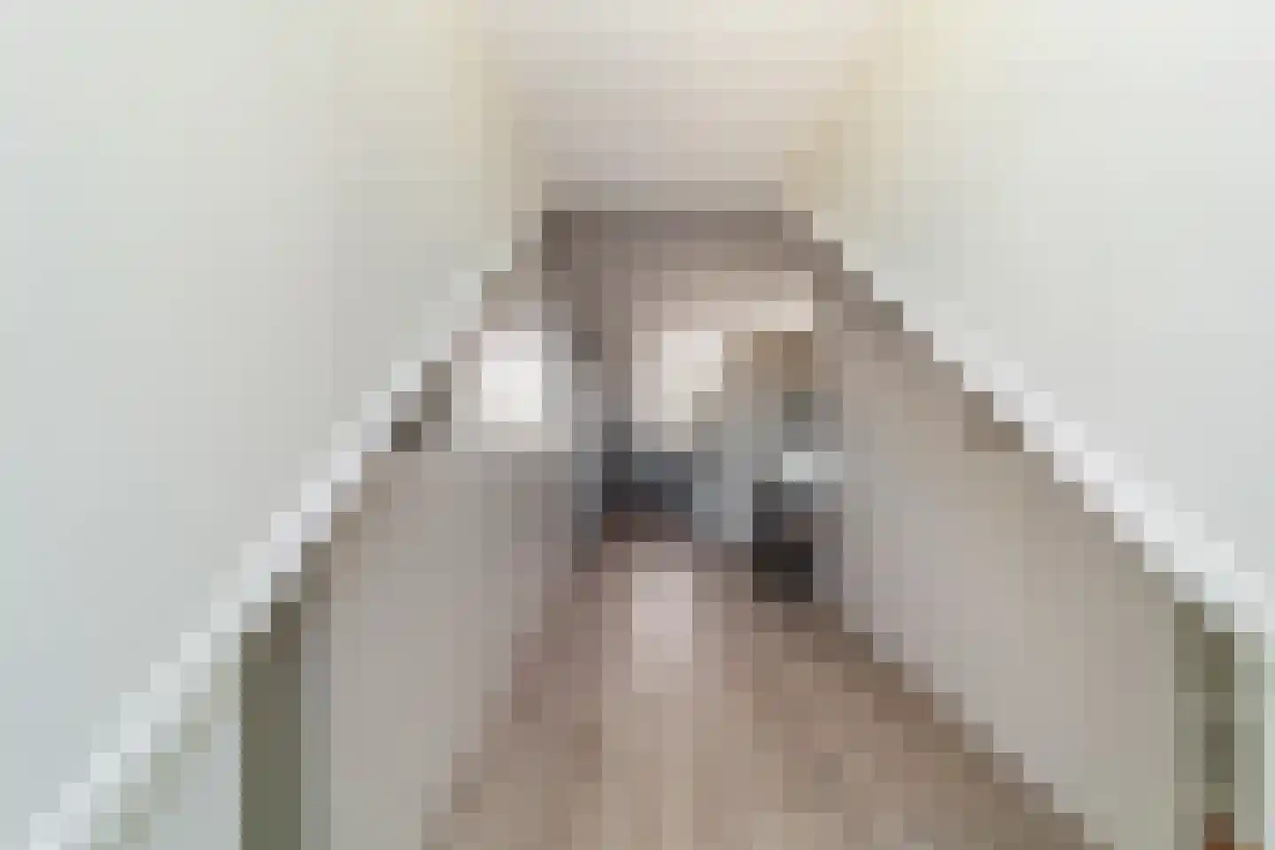 Hermelijn 27 's-Gravenzande thumbnail 30