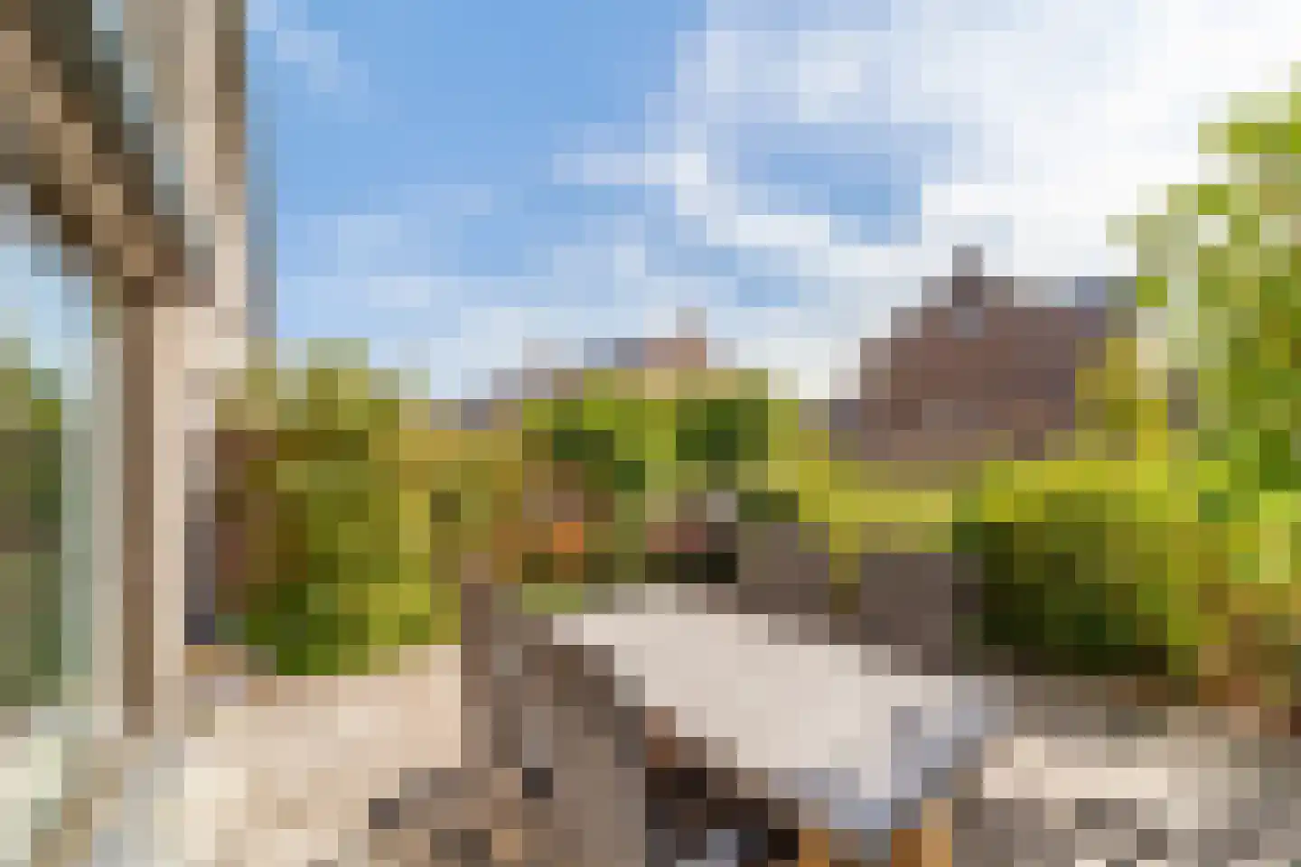 Hermelijn 27 's-Gravenzande thumbnail 32