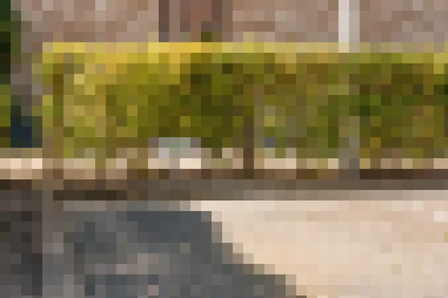 Hermelijn 27 's-Gravenzande thumbnail 34