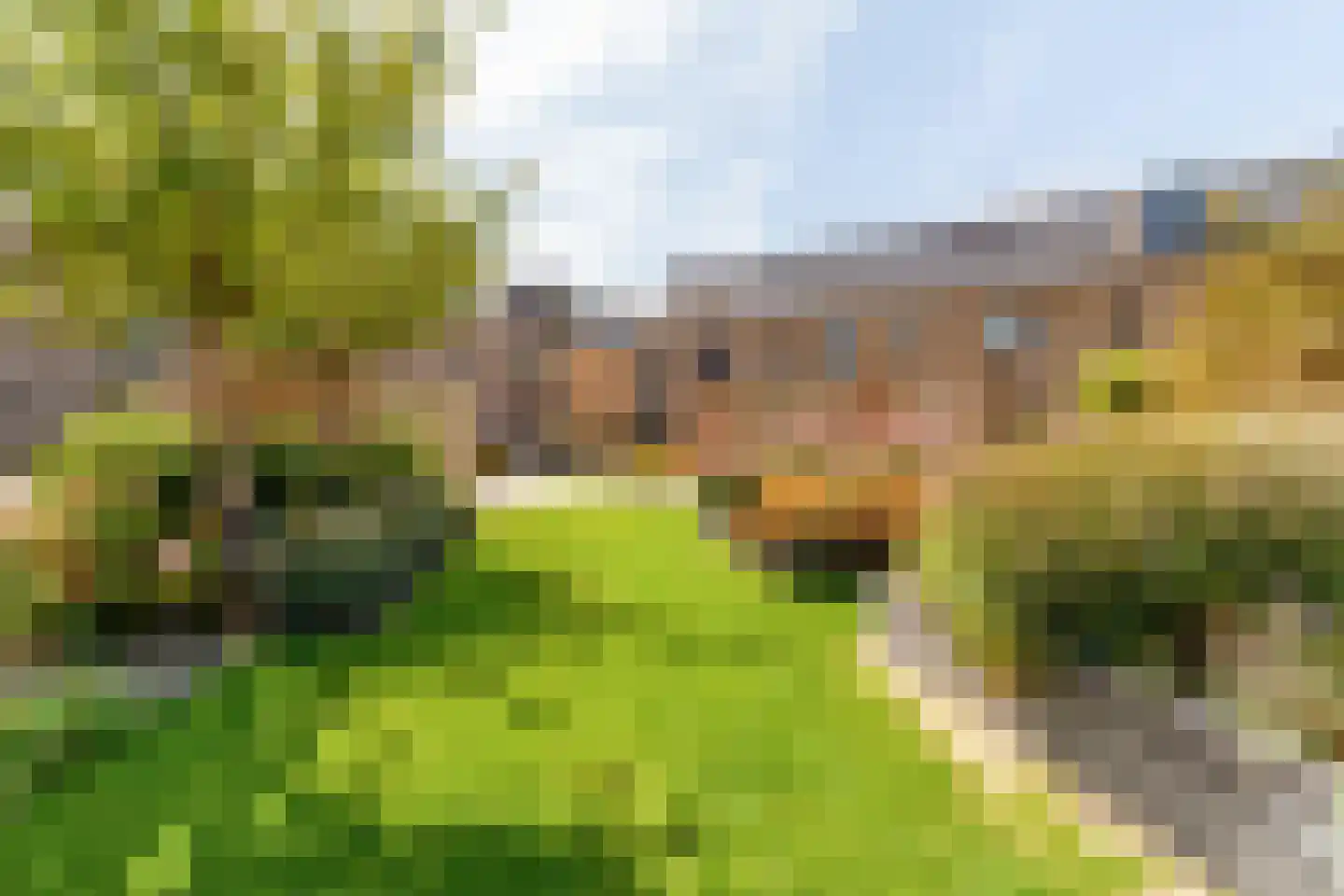 Hermelijn 27 's-Gravenzande thumbnail 4