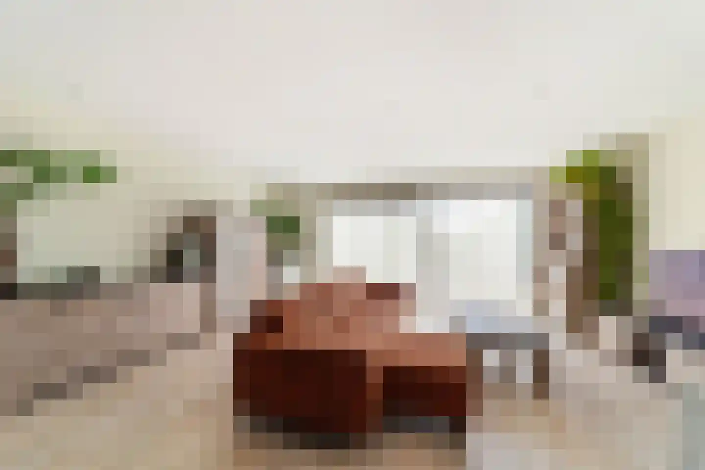 Hermelijn 27 's-Gravenzande thumbnail 5