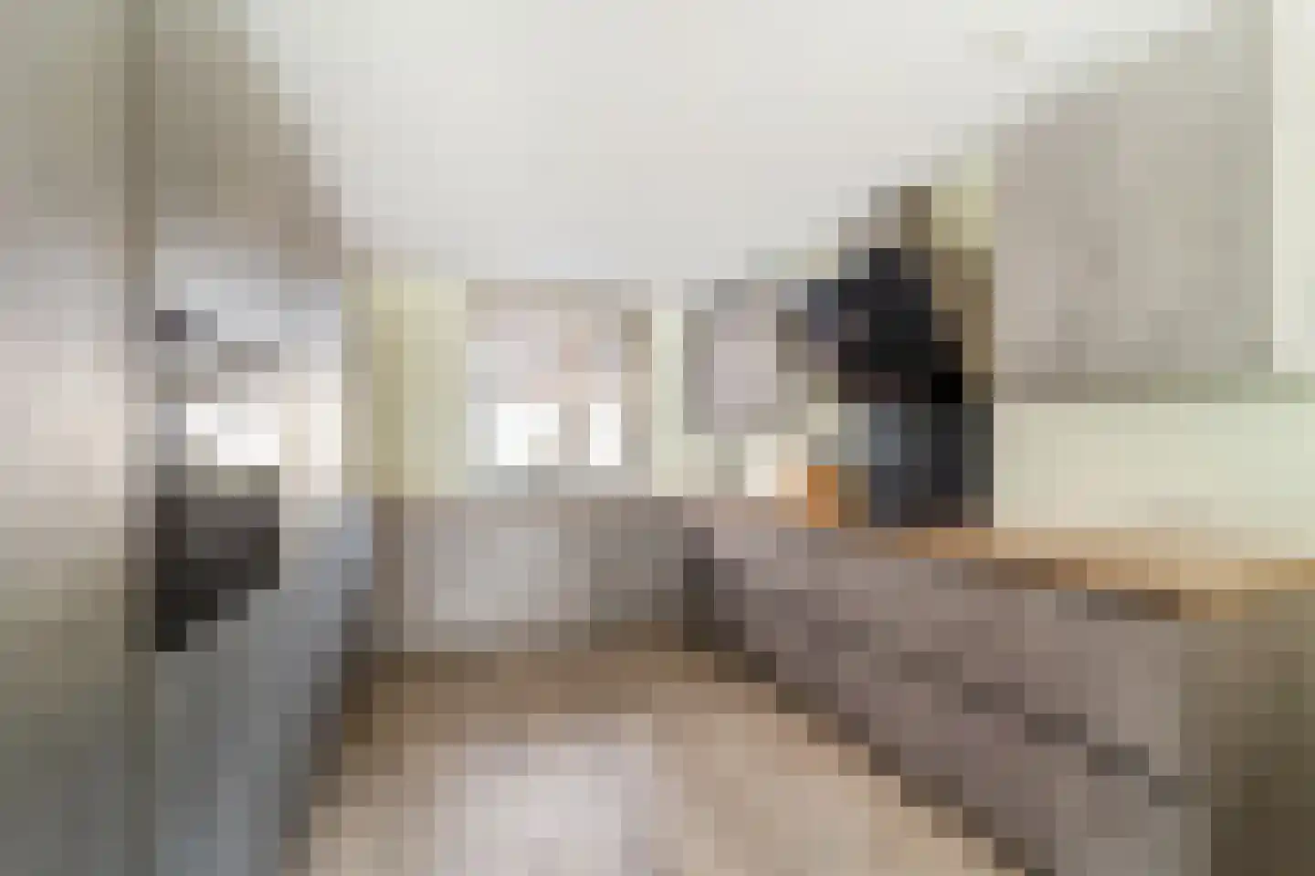 Hermelijn 27 's-Gravenzande thumbnail 6