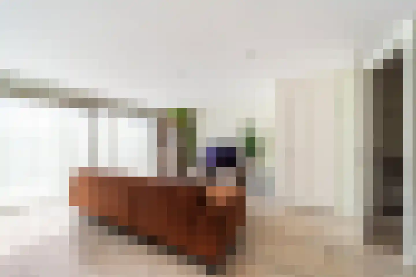 Hermelijn 27 's-Gravenzande thumbnail 8