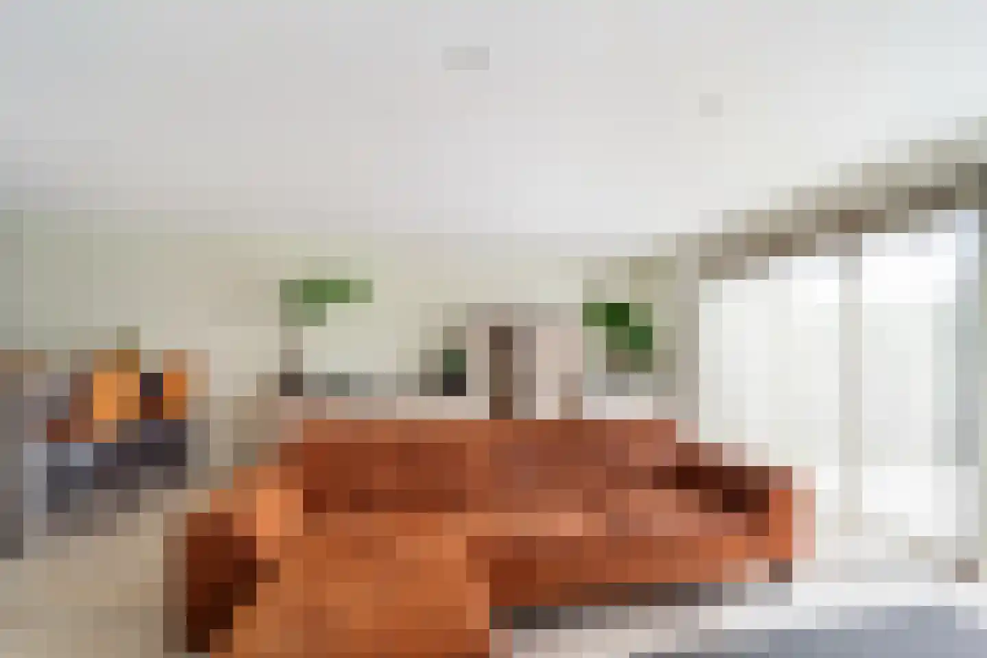 Hermelijn 27 's-Gravenzande thumbnail 9