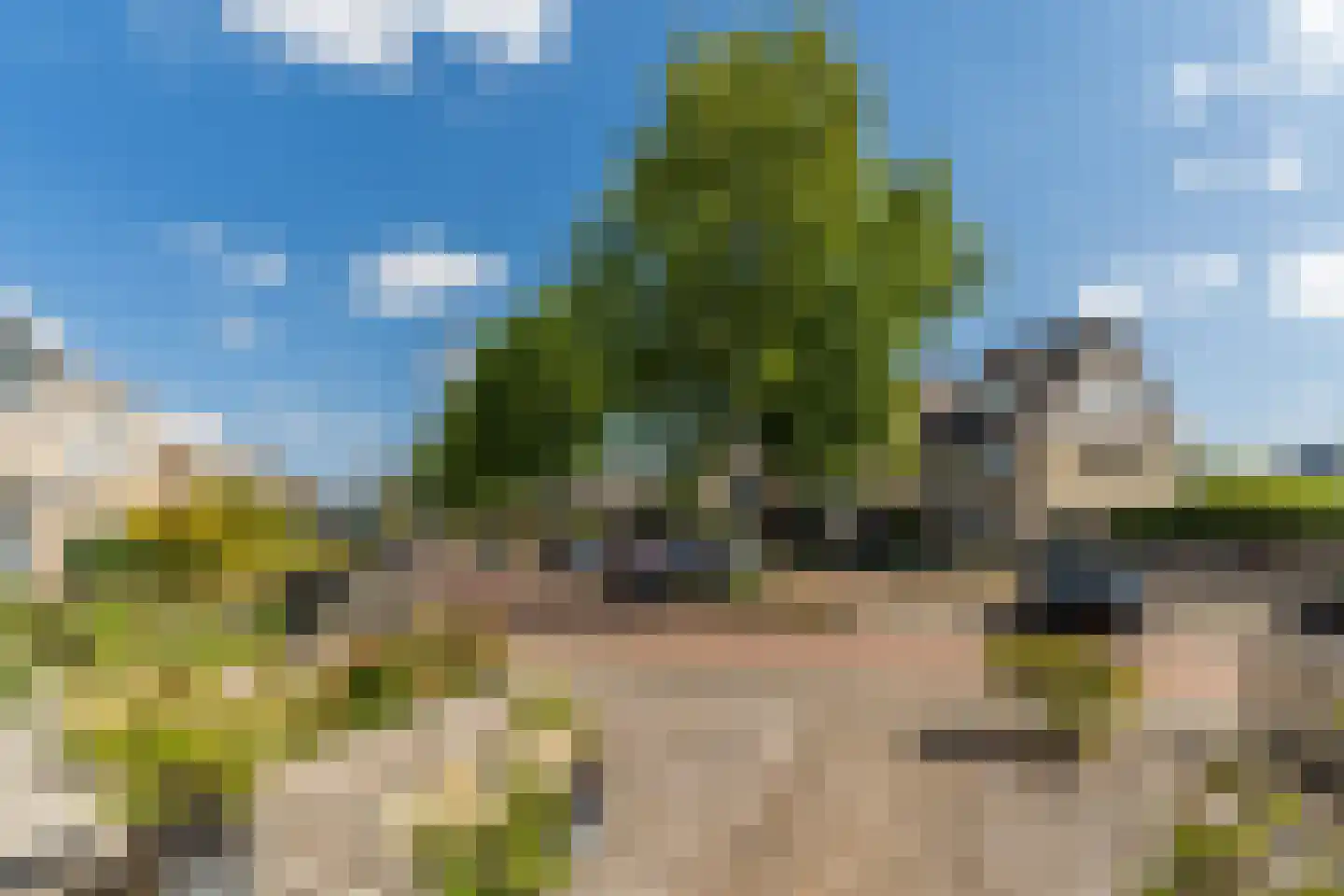 Hermelijn 32 Veldhoven thumbnail 32