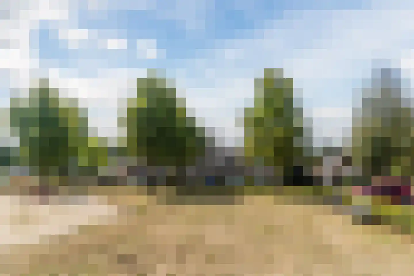 Hermelijn 32 Veldhoven thumbnail 33
