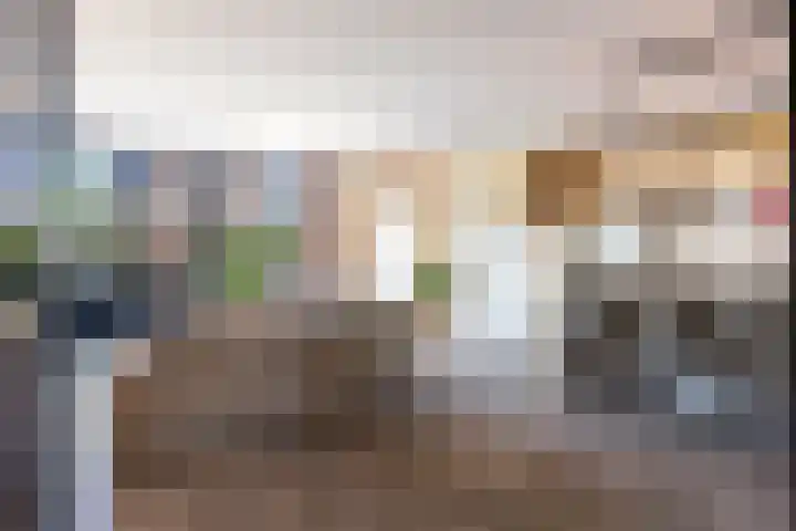Hermelijn 37 Apeldoorn thumbnail 10