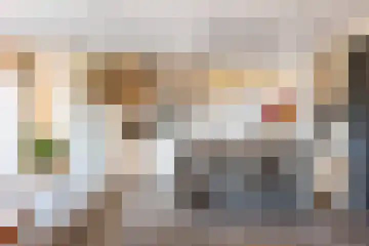 Hermelijn 37 Apeldoorn thumbnail 11