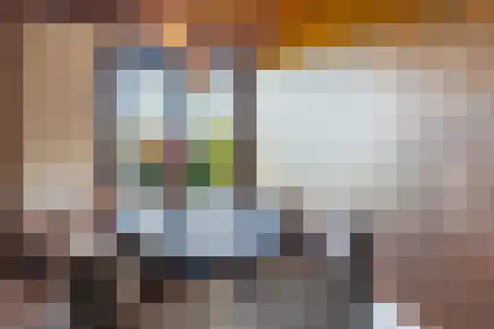 Hermelijn 37 Apeldoorn thumbnail 17