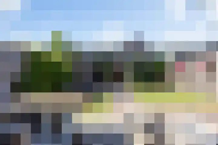 Hermelijn 37 Apeldoorn thumbnail 19
