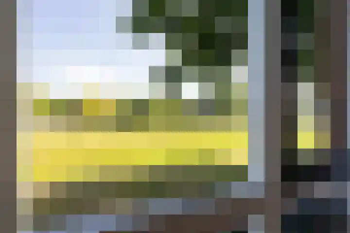 Hermelijn 37 Apeldoorn thumbnail 32