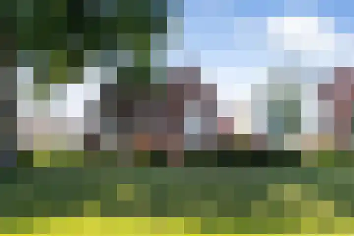 Hermelijn 37 Apeldoorn thumbnail 43