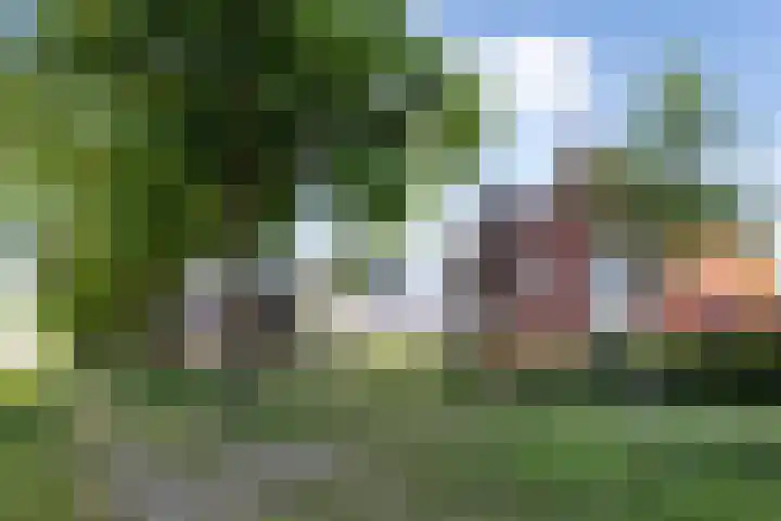 Hermelijn 37 Apeldoorn thumbnail 44