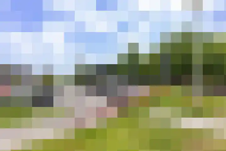 Hermelijn 37 Apeldoorn thumbnail 46
