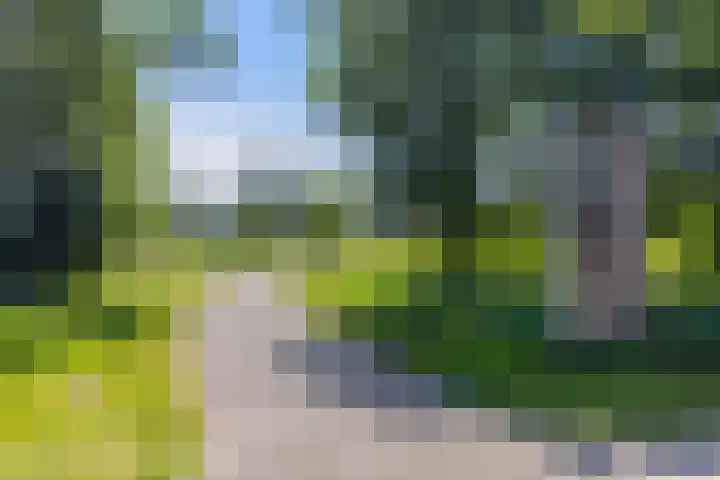 Hermelijn 37 Apeldoorn thumbnail 47