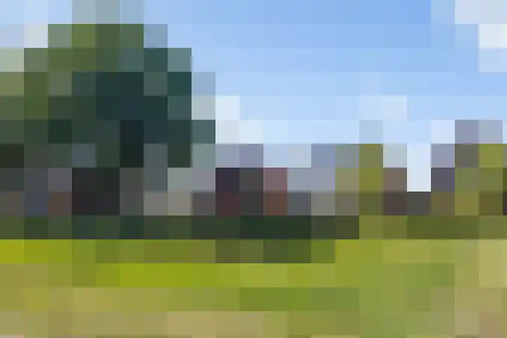 Hermelijn 37 Apeldoorn thumbnail 50
