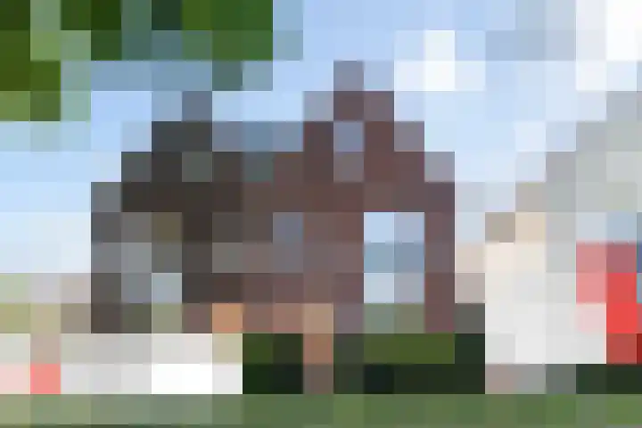 Hermelijn 37 Apeldoorn thumbnail 52