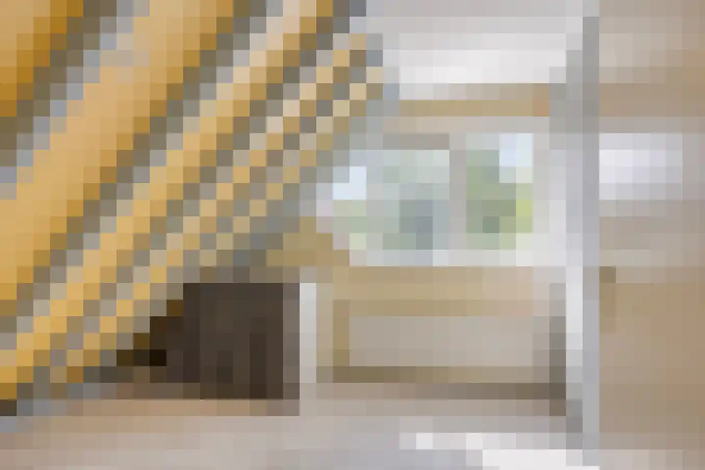 Hermelijn 43 Deventer thumbnail 23