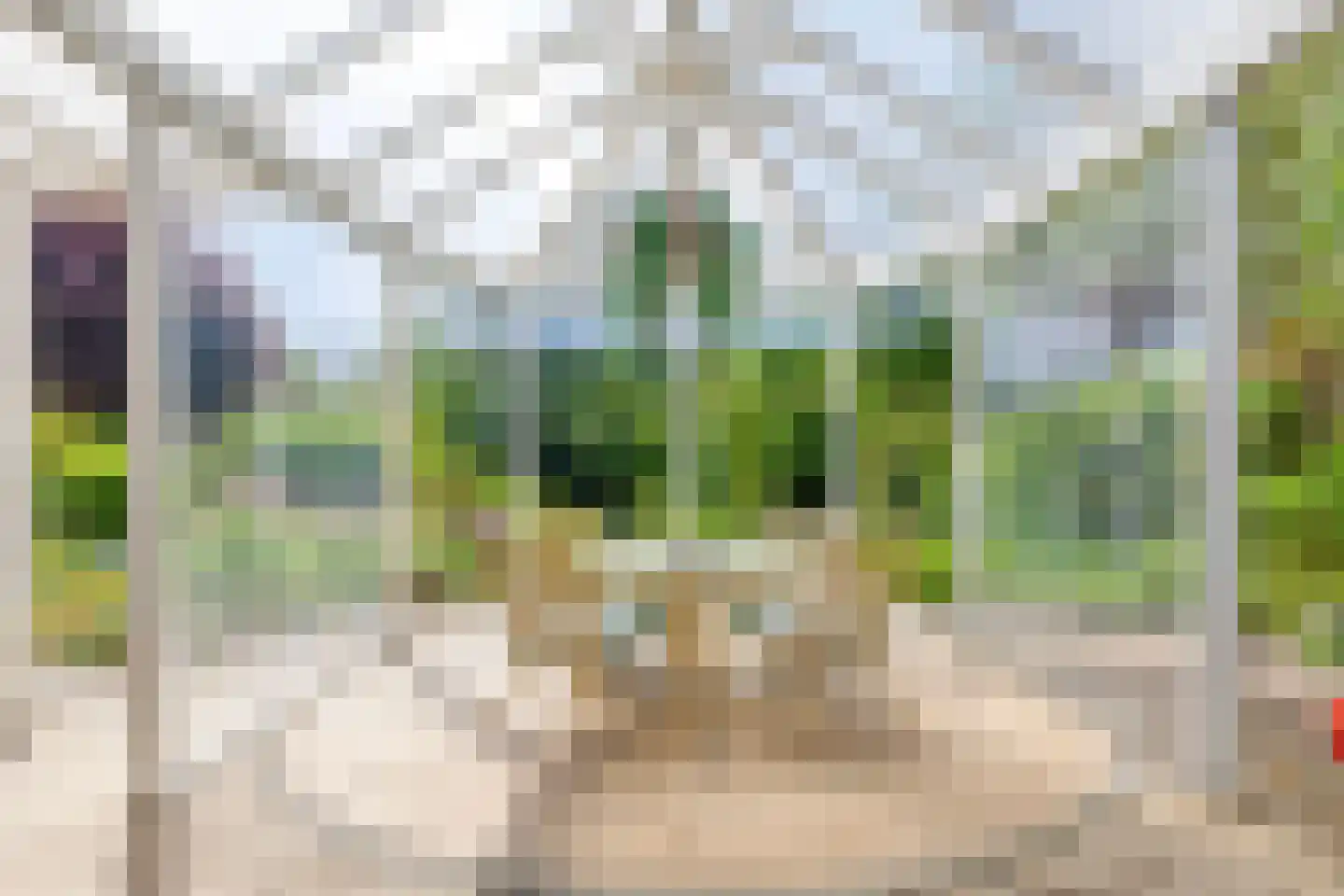 Hermelijn 43 Deventer thumbnail 25