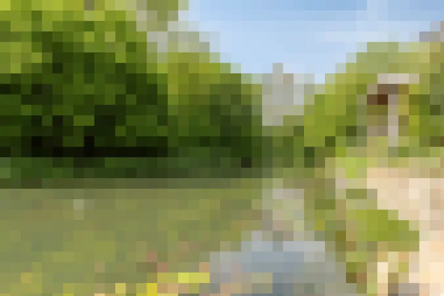 Hermelijn 43 Deventer thumbnail 31