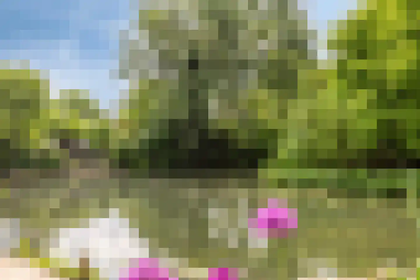 Hermelijn 43 Deventer thumbnail 32