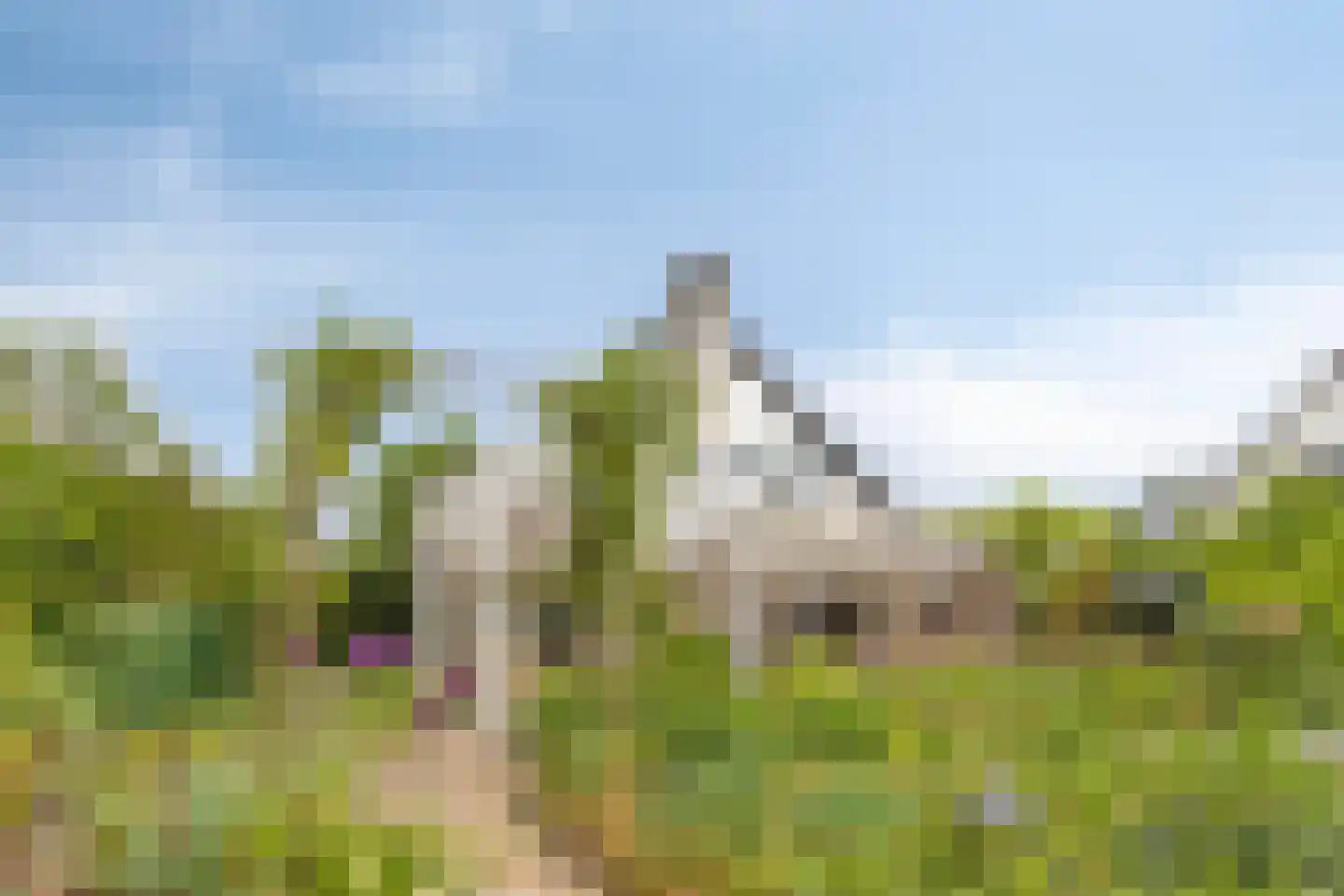 Hermelijn 43 Deventer thumbnail 33