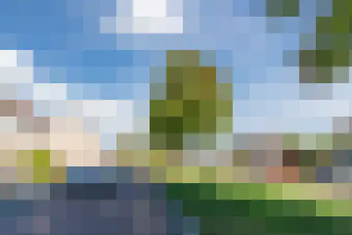 Hermelijn 62 Veldhoven thumbnail 8