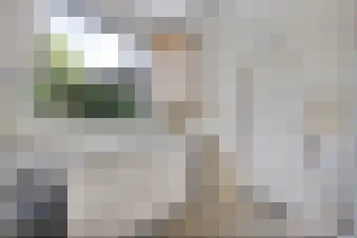 Hermelijnedreef 28 Oss thumbnail 10