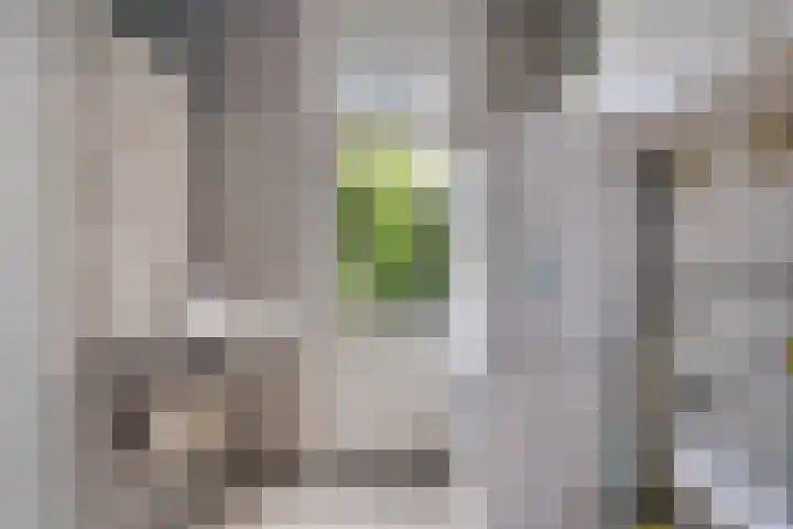 Hermelijnedreef 28 Oss thumbnail 11