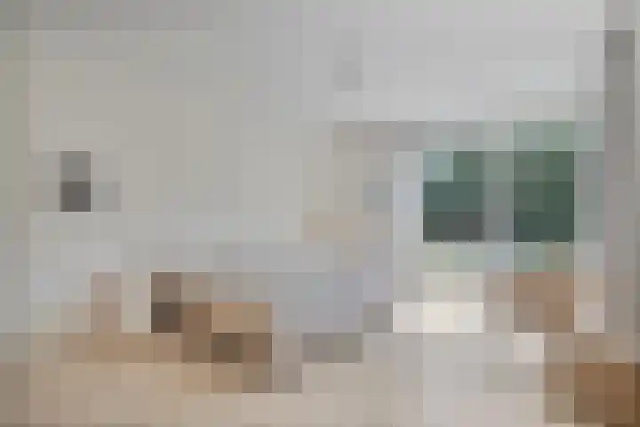 Hermelijnedreef 28 Oss thumbnail 13