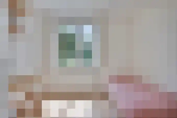 Hermelijnedreef 28 Oss thumbnail 16