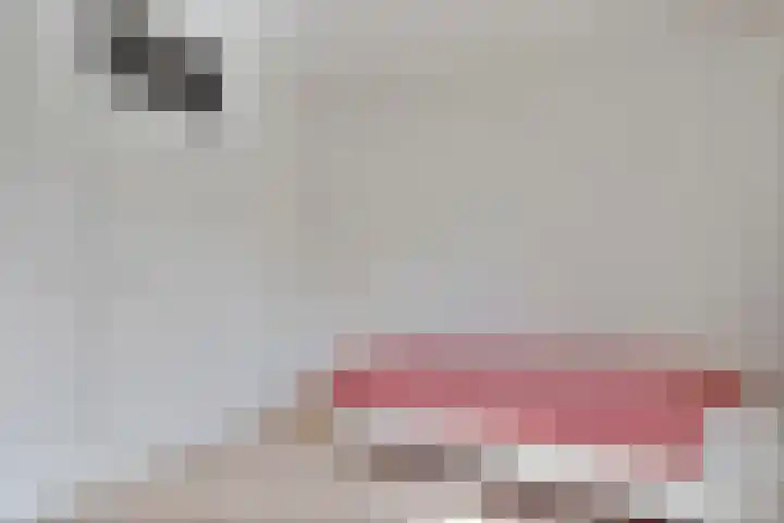 Hermelijnedreef 28 Oss thumbnail 18