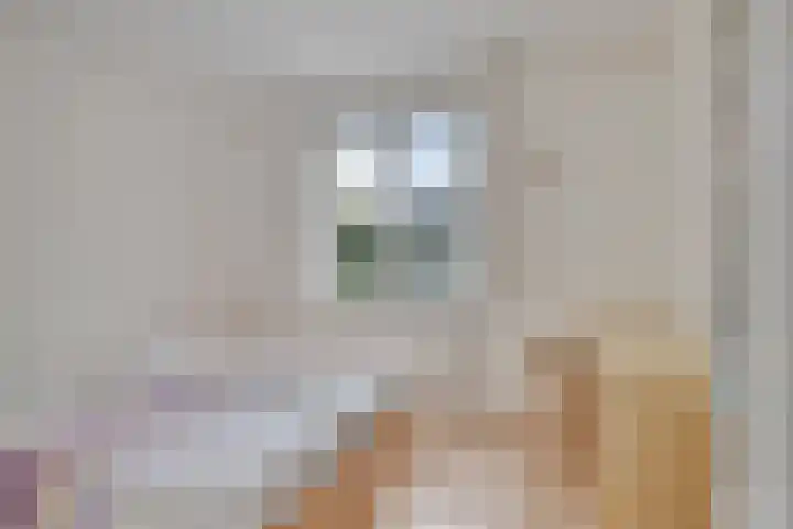Hermelijnedreef 28 Oss thumbnail 19