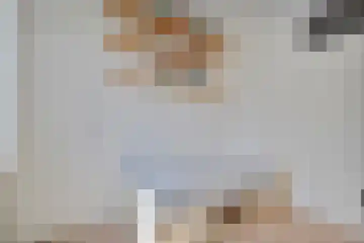 Hermelijnedreef 28 Oss thumbnail 21
