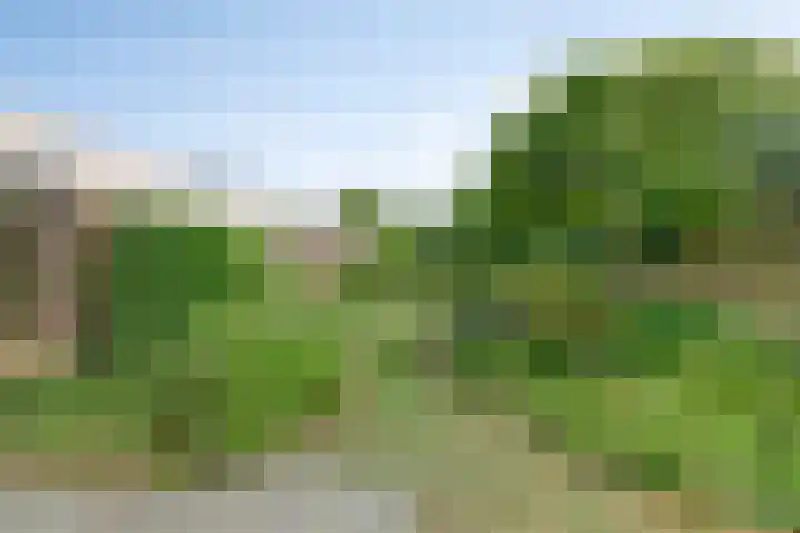 Hermelijnedreef 28 Oss thumbnail 25