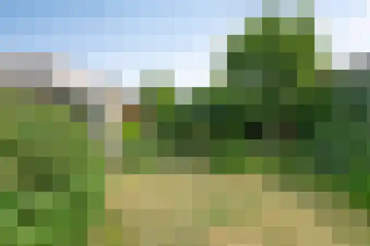 Hermelijnedreef 28 Oss thumbnail 27